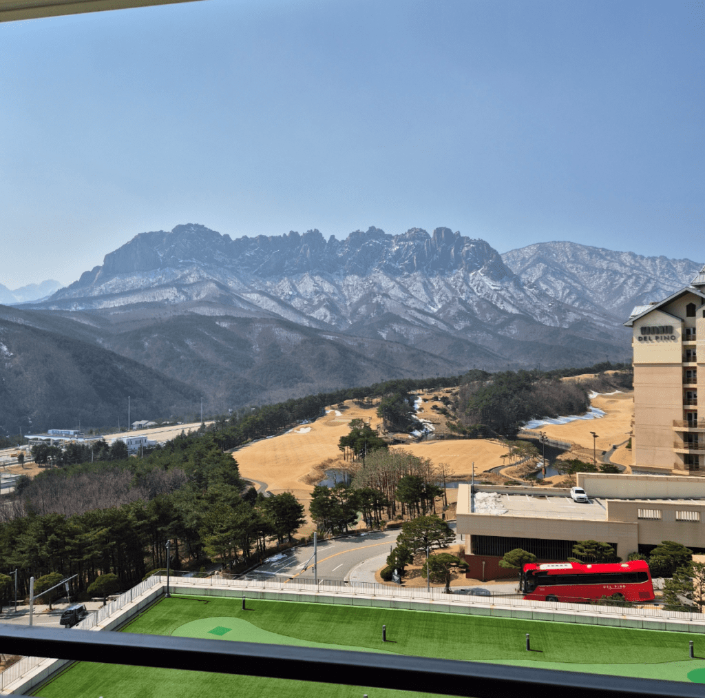 소노펠리체 델피노 전망