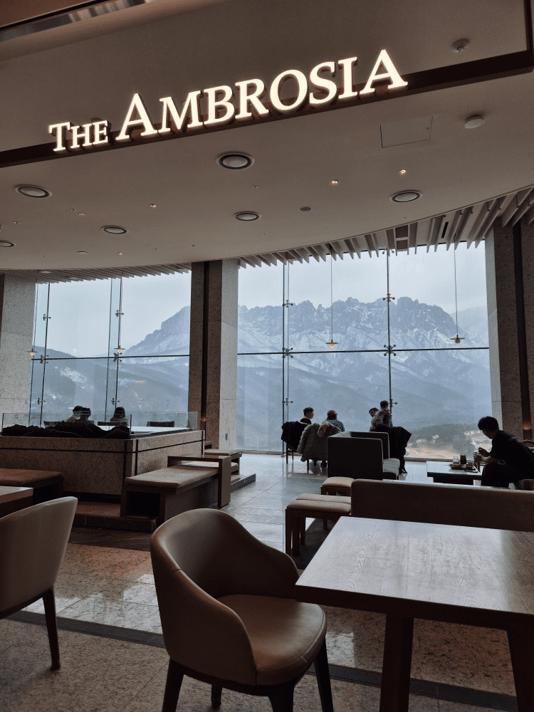 소노델피노 더 엠브로시아